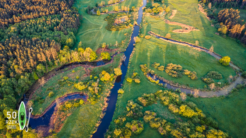 a river running through a green field